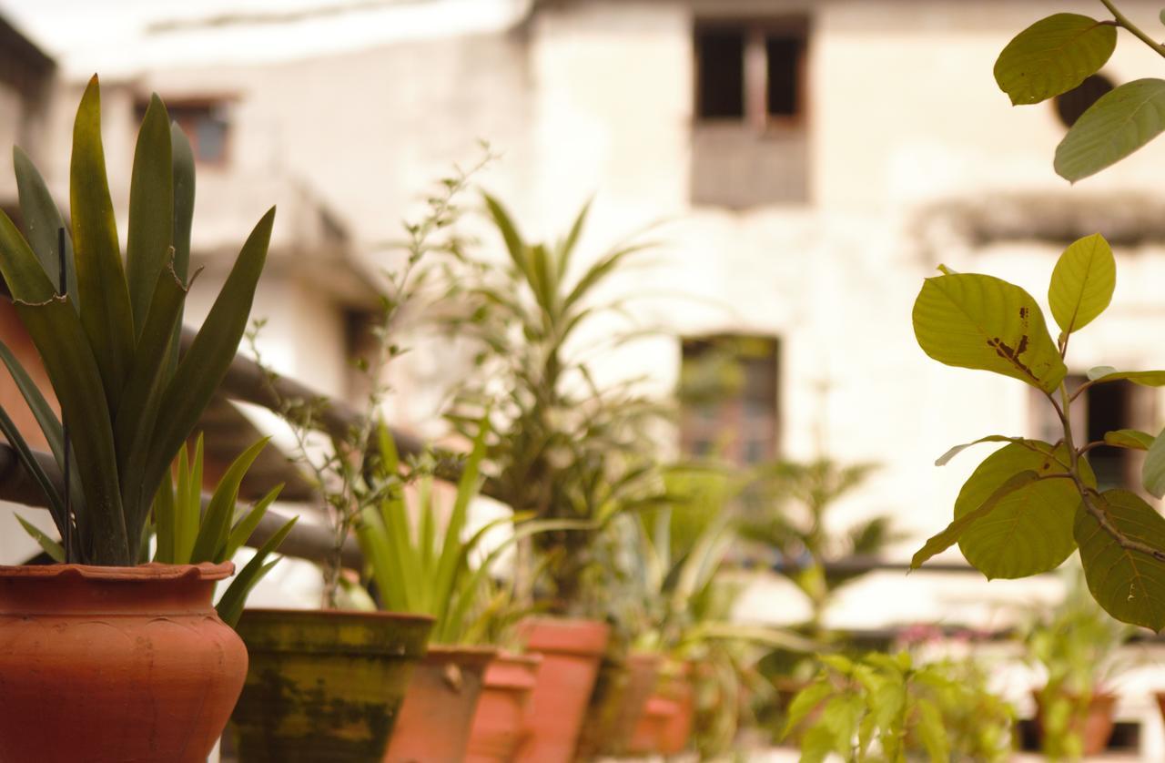 Hostel Milarepa Kathmandu Ngoại thất bức ảnh